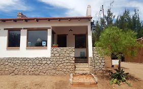 Terraza Del Molle